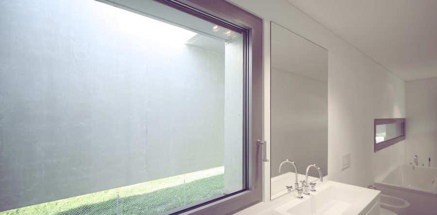 Etiam commodo convallis